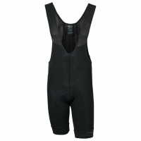 First Ascent Domestique Men's Bib Shorts