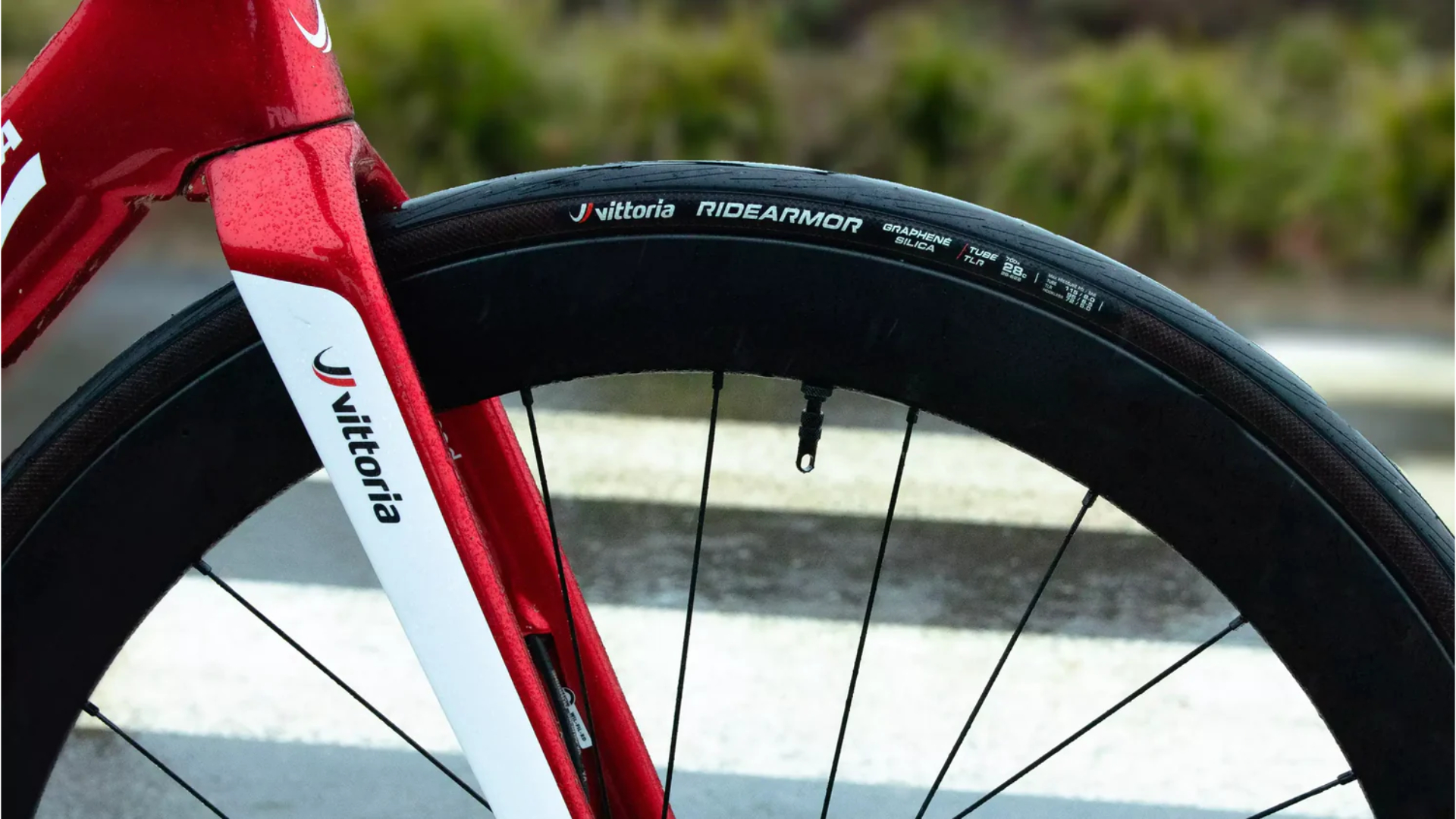 Why Every Rider Should Experience Vittoria Tyres