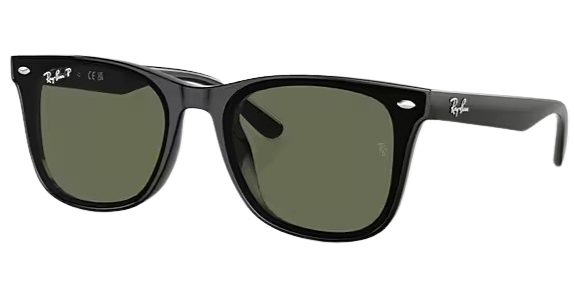 Ray-Ban 0RB4420 Polarized Fashion Sunglasses