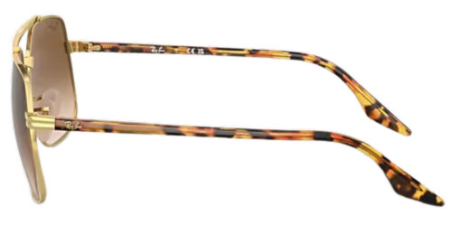 Ray-Ban RB3699 Fashion Sunglasses 