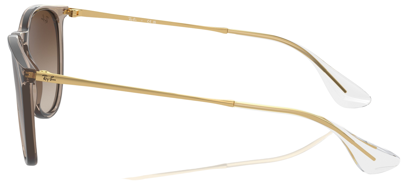 Ray-Ban Erika RB4171 Fashion Sunglasses