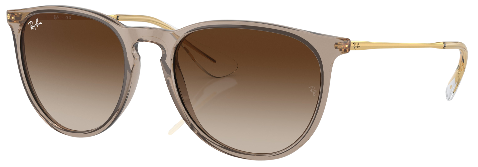 Ray-Ban Erika RB4171 Fashion Sunglasses