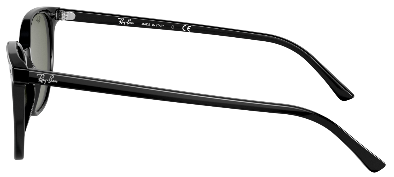 Ray-Ban Elliot RB2197 Fashion Sunglasses 