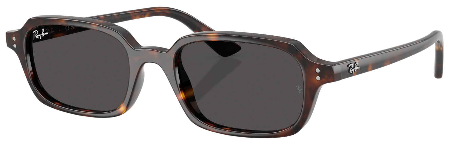 Ray-Ban Zuri RB4455 Fashion Sunglasses
