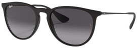 Ray-Ban Erika RB4171 Polarized Sunglasses