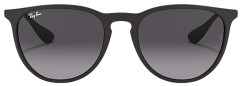 Ray-Ban Erika RB4171 Polarized Sunglasses