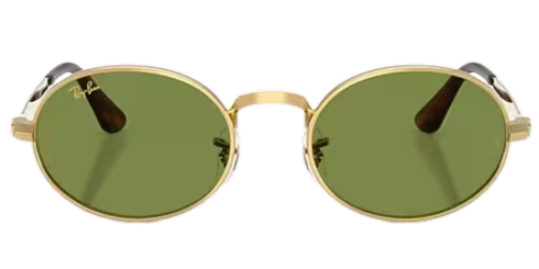 Ray-Ban RB3931 Fashion Sunglasses 