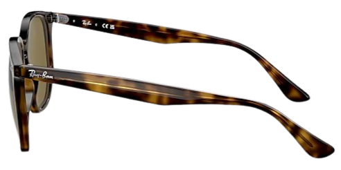 Ray-Ban RB4306 Polarized Fashion Sunglasses 