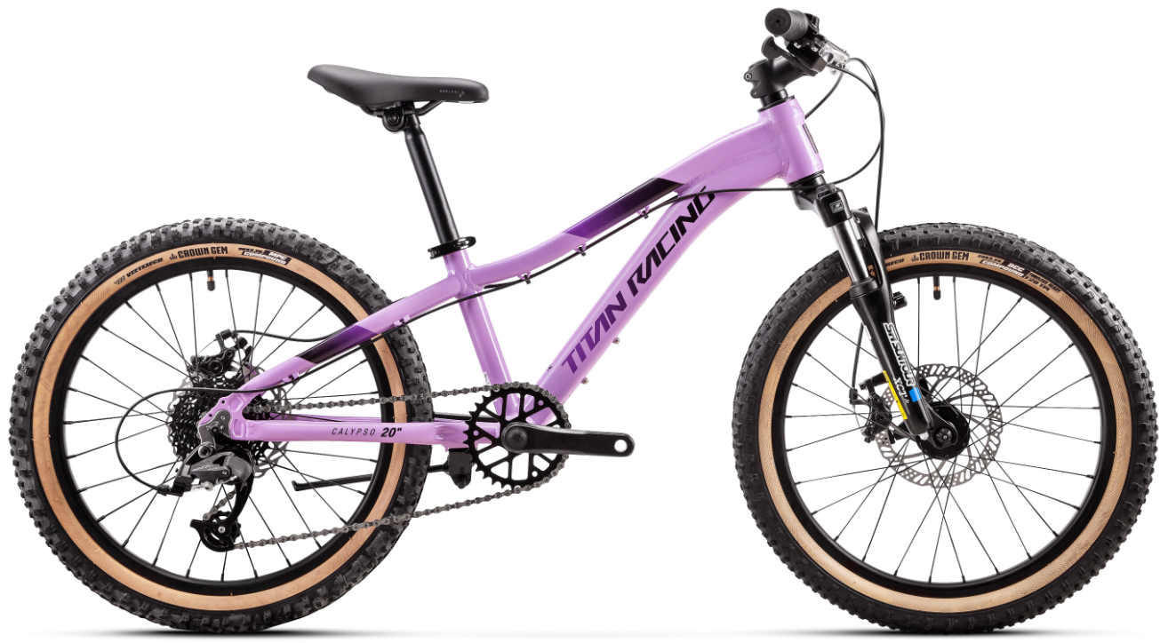 Titan Calypso 20 Inch Disc Junior Girls Bike 