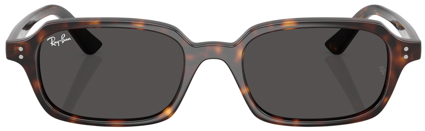 Ray-Ban Zuri RB4455 Fashion Sunglasses