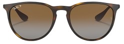 Ray-Ban Erika RB4171 Polarized Sunglasses