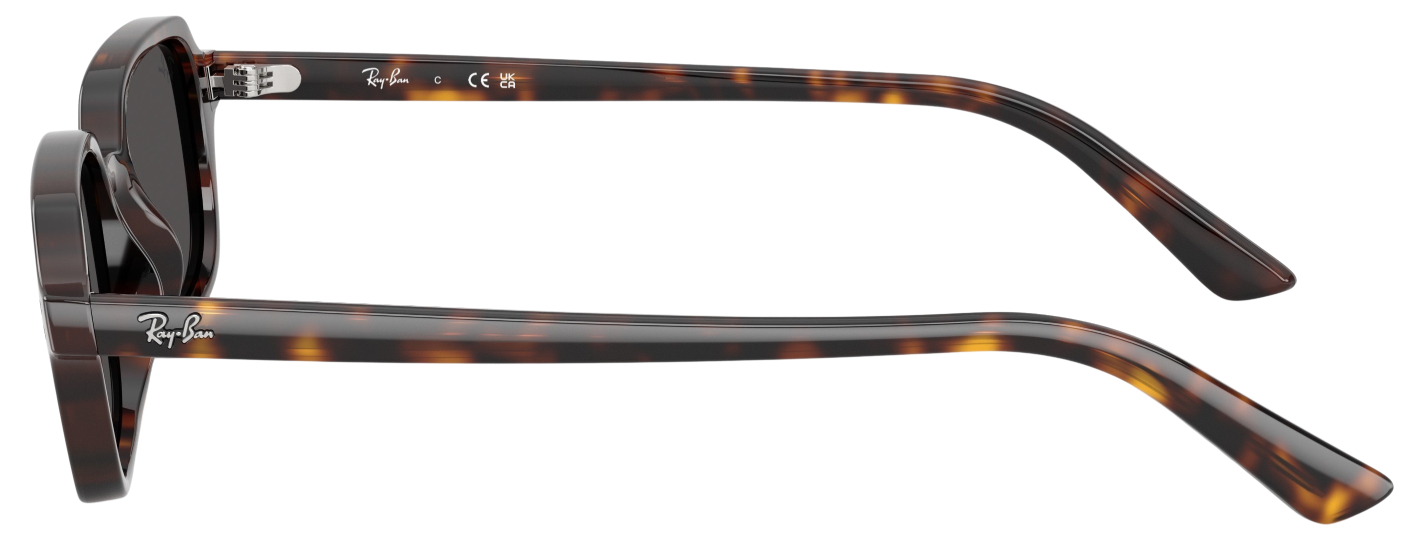 Ray-Ban Zuri RB4455 Fashion Sunglasses