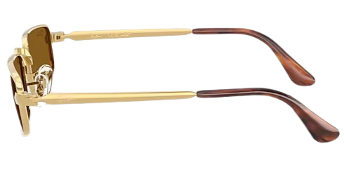 Ray-Ban 0RB3927 Sunglasses 