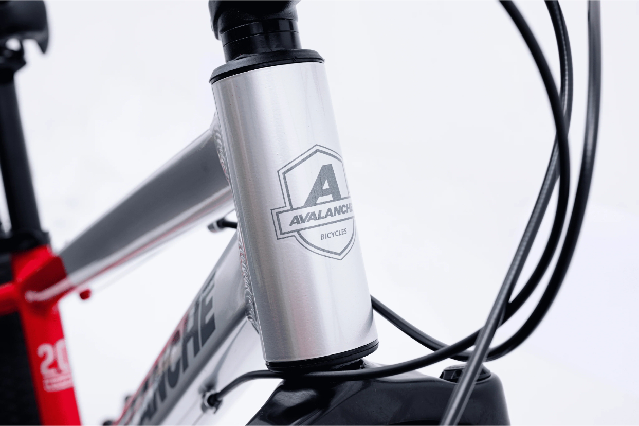 Avalanche Buzz Junior Boys Bike 2026