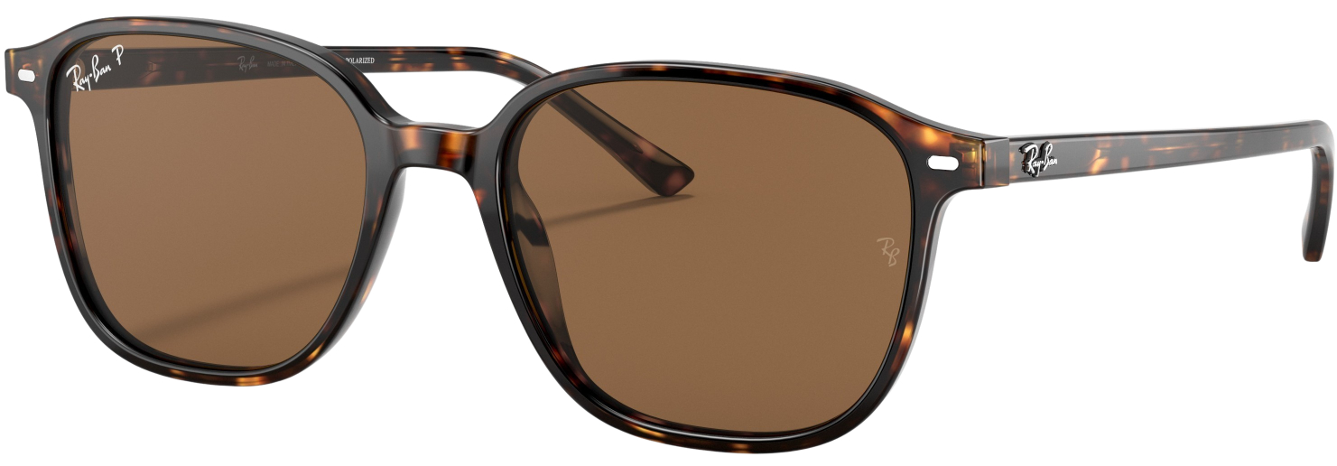 Ray-Ban Leonard  RB2193 Polarized Fashion Sunglasses 