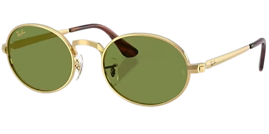 Ray-Ban RB3931 Fashion Sunglasses 