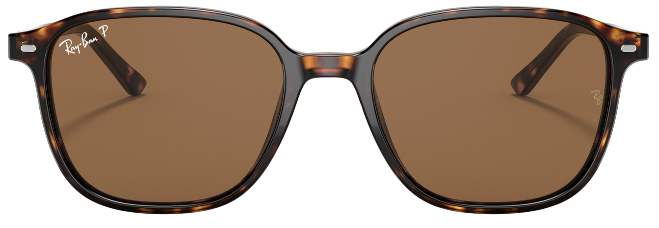 Ray-Ban Leonard  RB2193 Polarized Fashion Sunglasses 