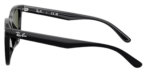 Ray-Ban 0RB4420 Polarized Fashion Sunglasses